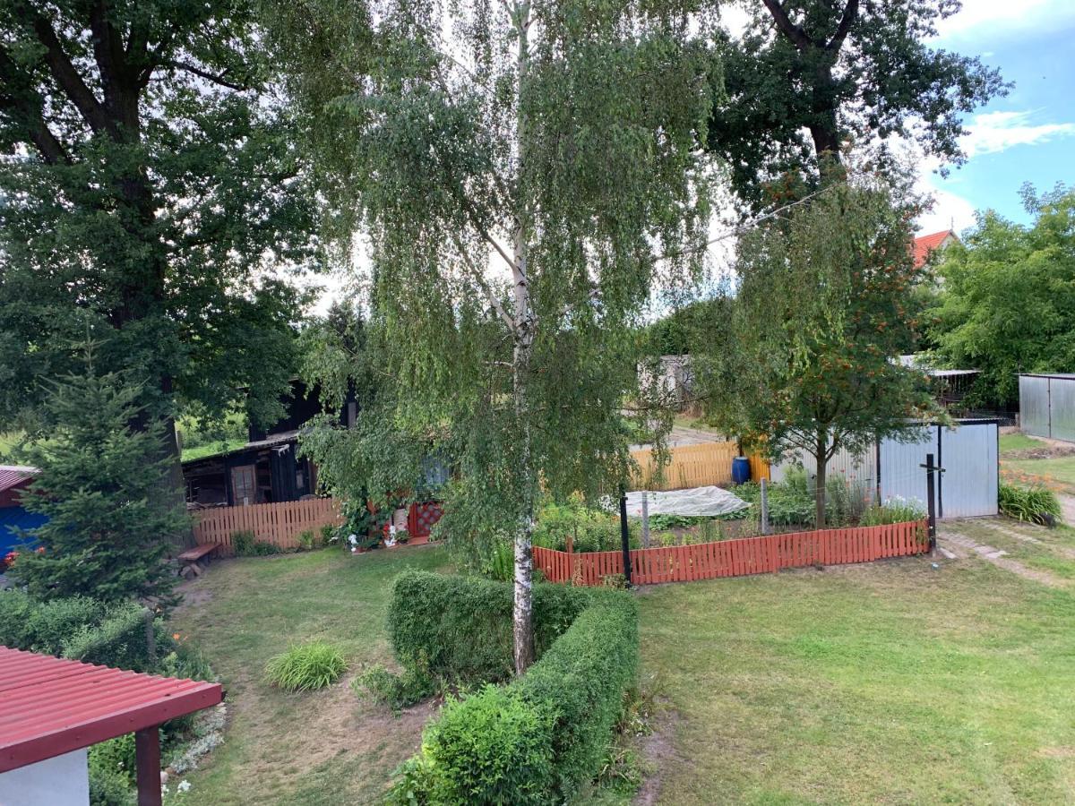 Apartament Dwa Deby Bozkow 外观 照片